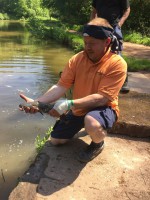 /album/nasady/img-2411-jpg/