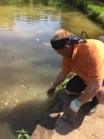 /album/nasady/img-2414-jpg/