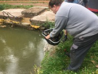 /album/nasady/img-4470-jpg/