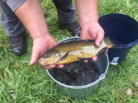 /album/nasady/img-4492-jpg/